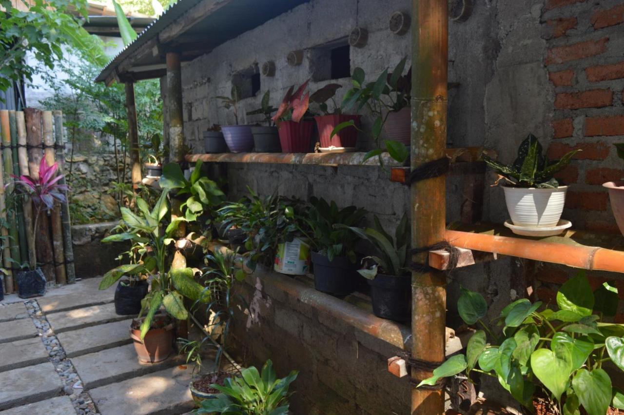 Labuan Bajo Mahoni Guesthouse Esterno foto